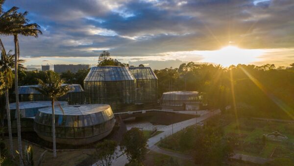 Vista aérea de los domos de vidrio del Tropicario del Jardín Botánico de Bogotá al atardecer, rodeados de palmas y árboles
