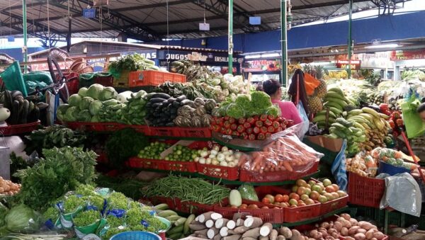 Puestos llenos de frutas y verduras de colores bajo la cubierta de la Plaza de Mercado Paloquemao en Bogotá