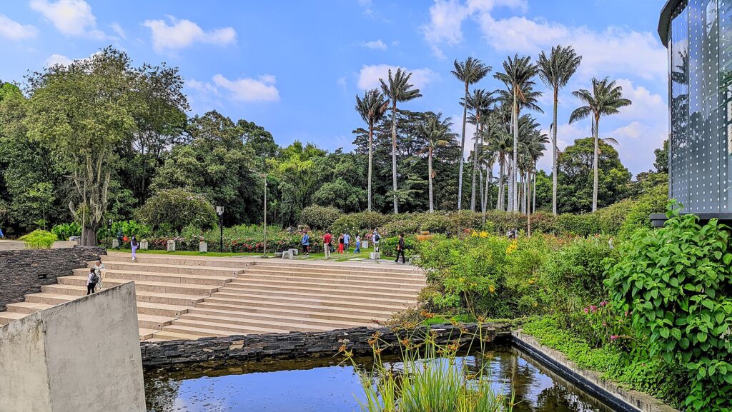 Personas caminando por los jardines y escalinatas del Jardín Botánico de Bogotá, con palmas altas y un espejo de agua bajo el cielo azul